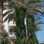 Sifalar Hotel Alanya