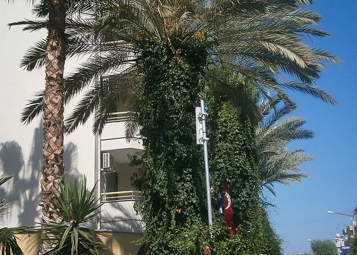 Sifalar מלון אלאניה